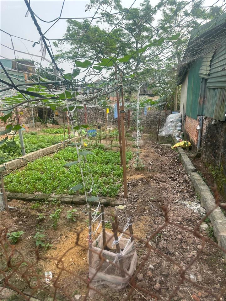 Đất phú xuyên tại thôn văn hội giá rẻ nhất thị trường