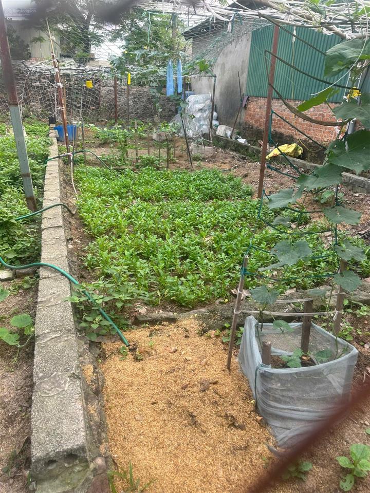 Đất phú xuyên tại thôn văn hội giá rẻ nhất thị trường