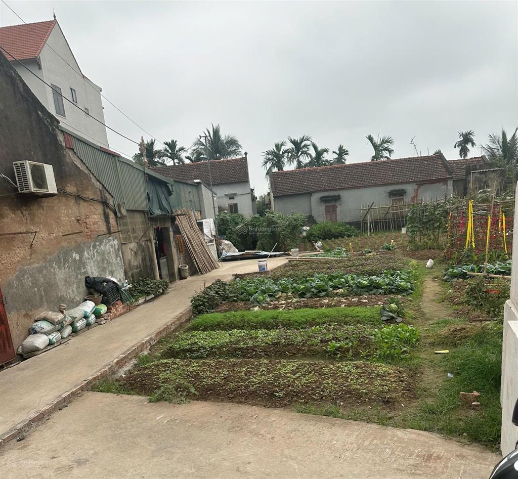Đất phú xuyên tại thôn văn hội giá rẻ nhất thị trường