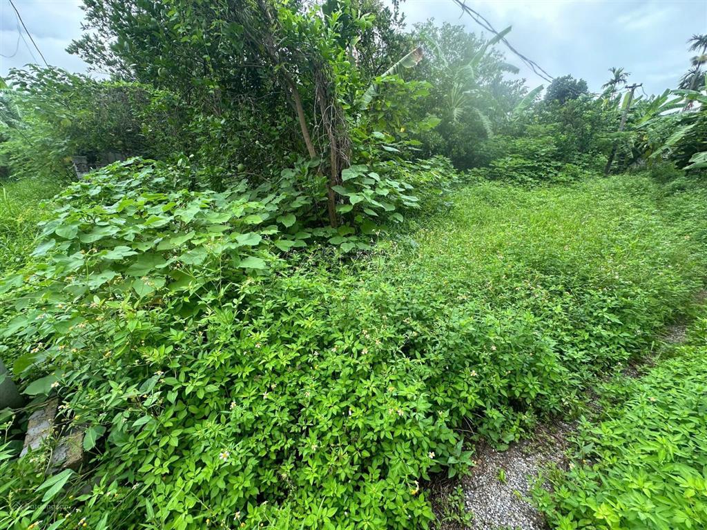 Đất phú xuyên. bán lô góc 214m đất phân được tại duyên yết, phú xuyên
