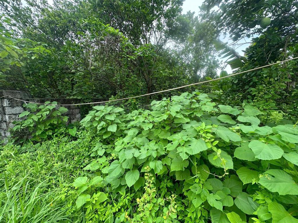 Đất phú xuyên. bán lô góc 214m đất phân được tại duyên yết, phú xuyên