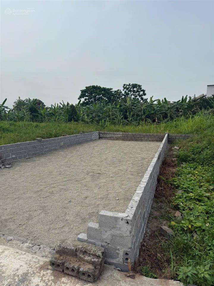 Bán đất chương dương ô tô vào tận cửa giá rẻ ở thị trường tại thôn thống nhất