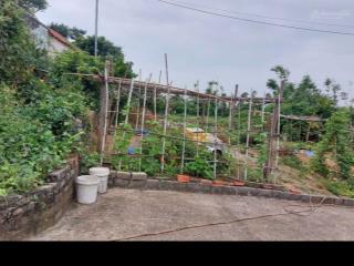 Bán đất dân tuần châu giá 8tr/m2.  ms bình 0912 106 ***