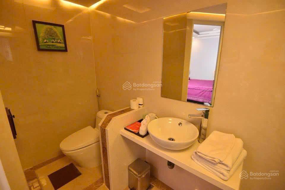 Cho thuê căn hộ mini, nội thất cao cấp, 28 m2 tại trần khát chân, lò đúc, hai bà trưng, hn