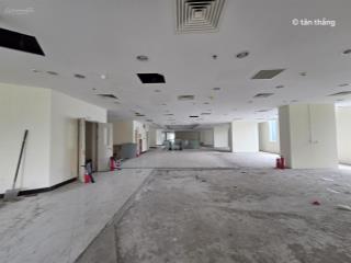 Cho thuê vài phòng trống tại tòa nhà văn phòng gần tô hiệu, lạch tray, thành phố hải phòng