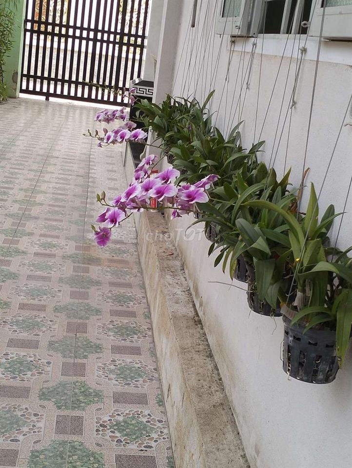bán nhà kp Thanh Bình A thị trấn Gò Dầu Tây Ninh 7x47 giá 2.7ty
