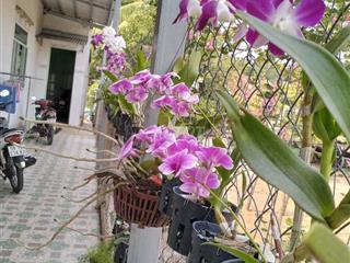 bán nhà kp Thanh Bình A thị trấn Gò Dầu Tây Ninh 7x47 giá 2.7ty