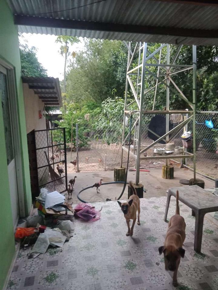 bán nhà kp Thanh Bình A thị trấn Gò Dầu Tây Ninh 7x47 giá 2.7ty
