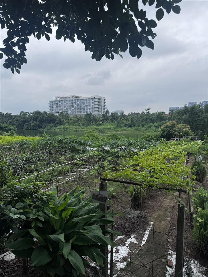 Bán đất khu hưu trí bắc hưng hải
