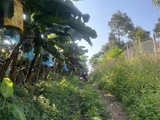 Bán đất view bờ hồ sông ray góc nhựa 2mt ont