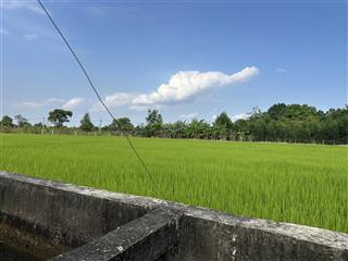 Bán đất tp hcm 11600 m2 view lúa giá rẻ