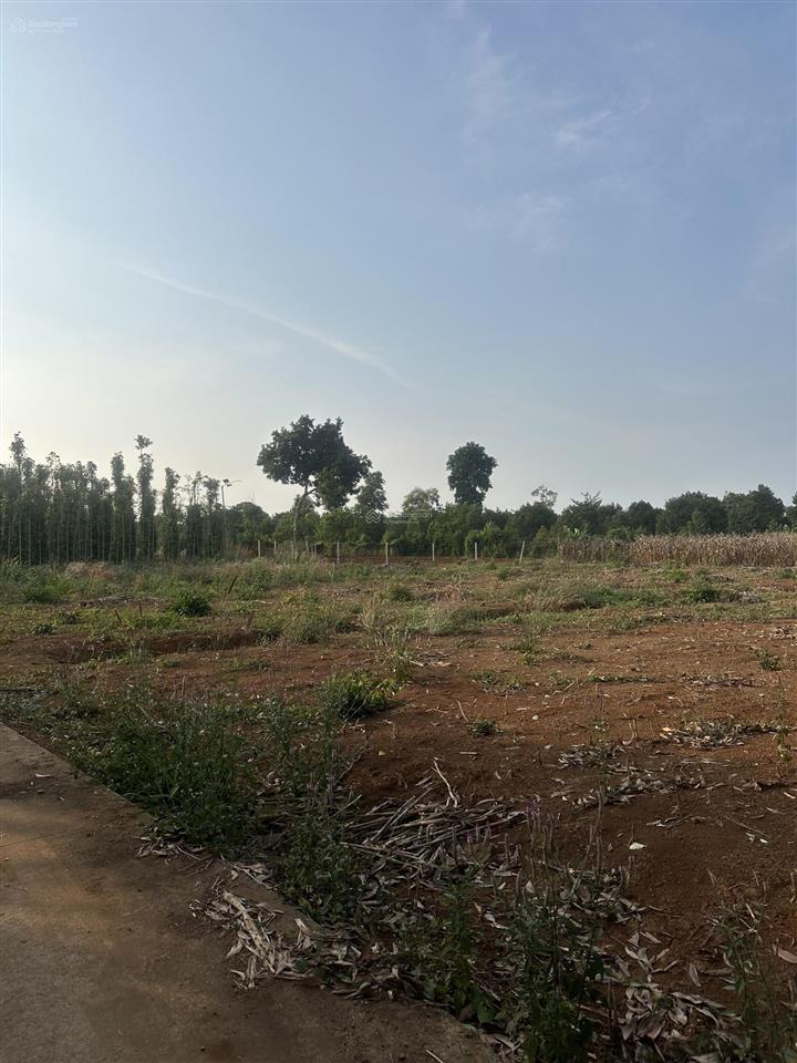 Sông ray bán 2800m2 có 300m2 ont giá rẻ