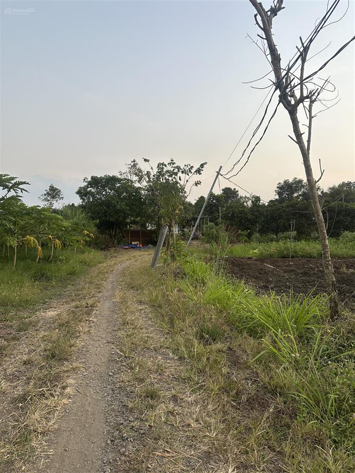 Bán đất xuân tây 2000m2 có 100m2 ont