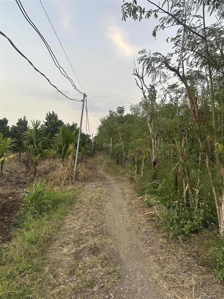 Bán đất xuân tây 2000m2 có 100m2 ont