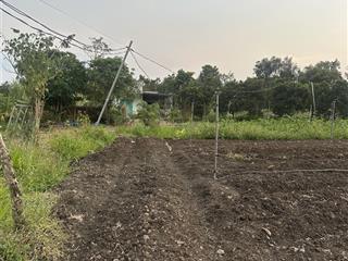 Bán đất xuân tây 2000m2 có 100m2 ont