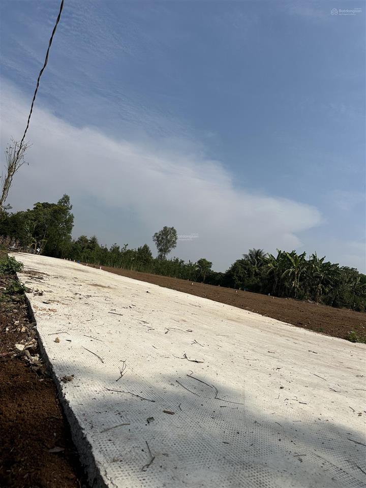 Bán nền xuân đông 150m2 full thổ đầu tư