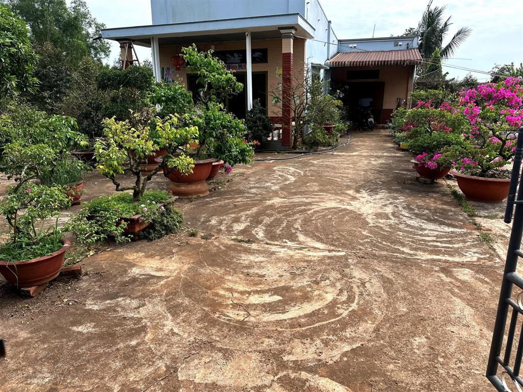 Vườn trái cây view suối nước chảy quanh năm có 300m2 ont giá rẻ