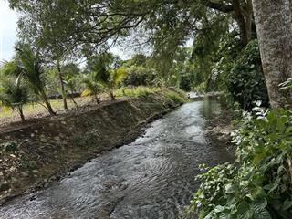 Vườn trái cây view suối nước chảy quanh năm có 300m2 ont giá rẻ