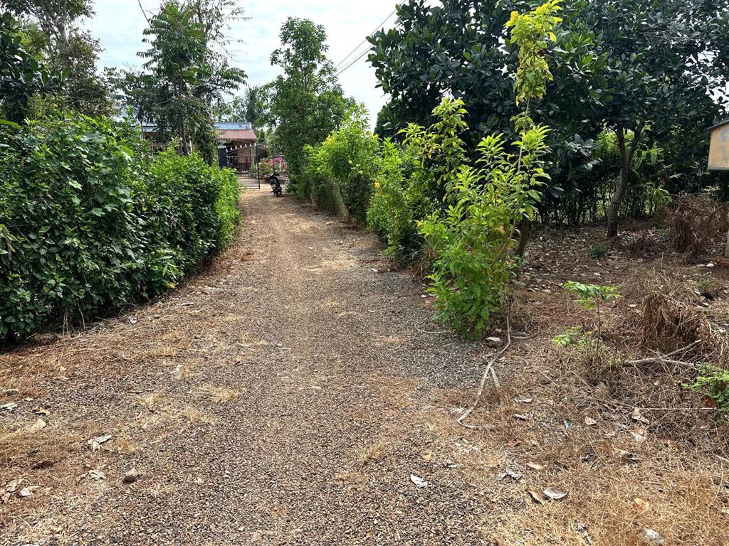 Vườn trái cây view suối nước chảy quanh năm có 300m2 ont giá rẻ