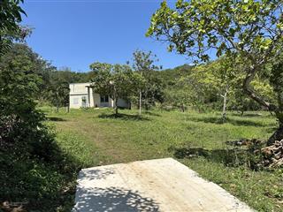 Bán vườn 19672m2 có 300m2 thổ đường bê tông