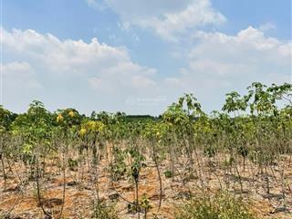 Bán 1644m đất sông nhạn xuân quế đường bê tông full hồng sau khu công nghiệp