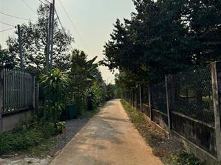 Bán 1912m vườn sầu riêng full hồng có thể phân lô cách kcn xuân quế 450m