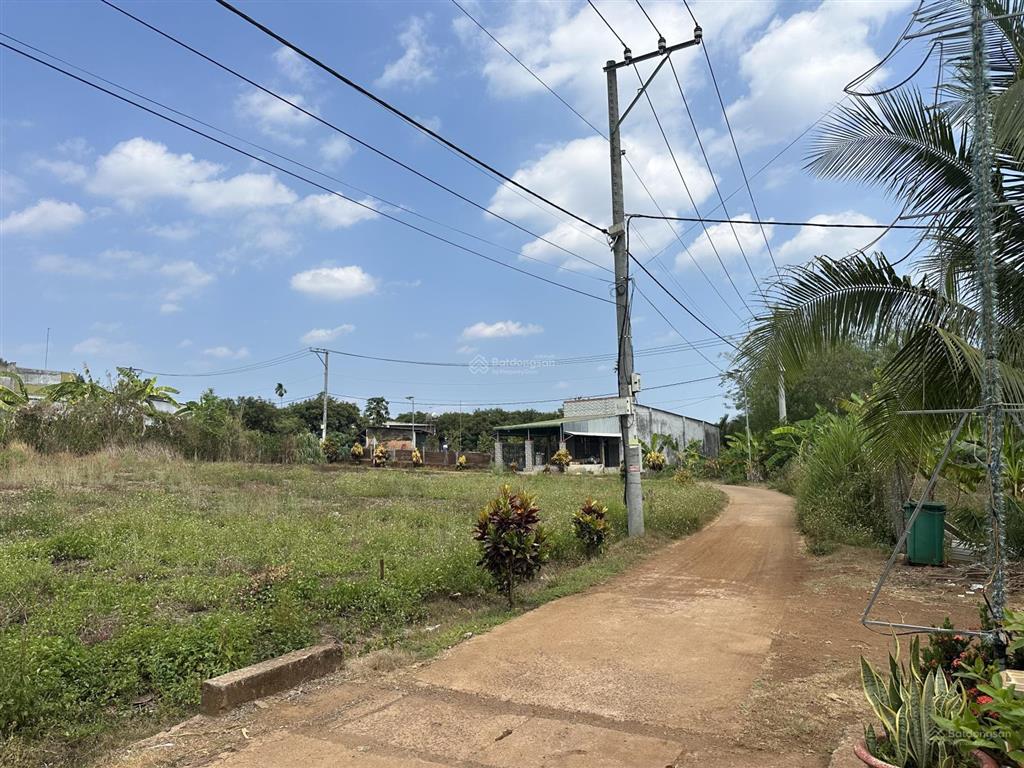 Xuân quế 1000m2 full hồng đường bê tông băm nền tuyệt vời giá quá tốt