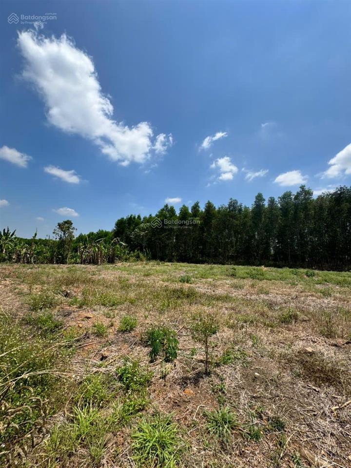 Cẩm đường 1100m (100) ont sát hương lộ 10 giá tốt nhất thị trường