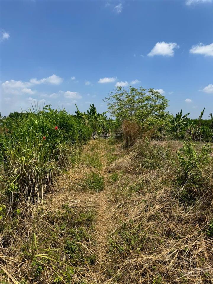 Cẩm đường 1100m (100) ont sát hương lộ 10 giá tốt nhất thị trường