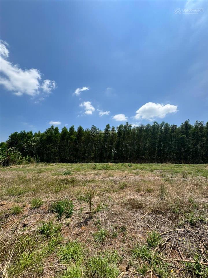 Cẩm đường 1100m (100) ont sát hương lộ 10 giá tốt nhất thị trường