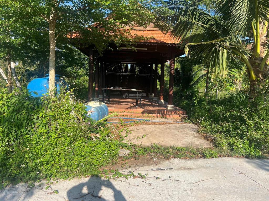 Quảng thành 7900m2 có 300m2 (ont) có ao cá vườn trái cây