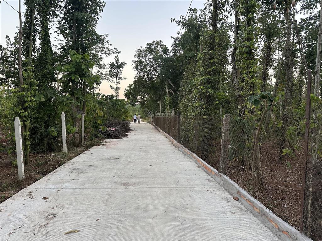 Quảng thành 7900m2 có 300m2 (ont) có ao cá vườn trái cây
