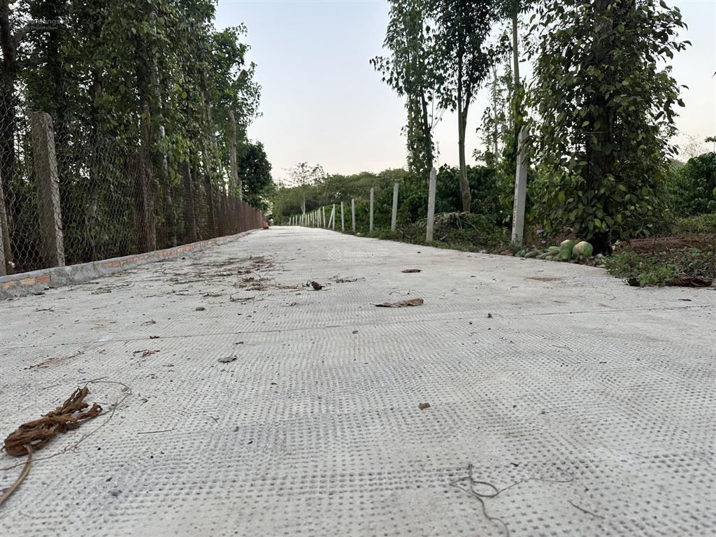 Quảng thành 7900m2 có 300m2 (ont) có ao cá vườn trái cây