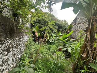 Cần bán gấp mảnh đất 780m vuông gần chùa tam chúc đất ở đô thị  0964 859 ***