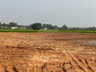 Bán đất 178m2 tại tỉnh lộ 2, tân phú trung, củ chi, giá siêu hời 2,45 tỷ