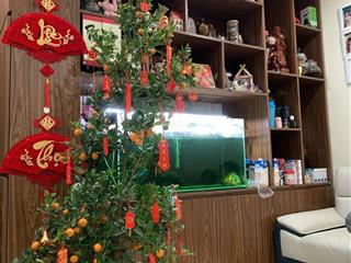 Gấp. bán gấp căn 2pn 2wwc 73m2 chung cư citrine. sổ hồng tại nhà. giá tốt nhà đẹp tặng nội thất