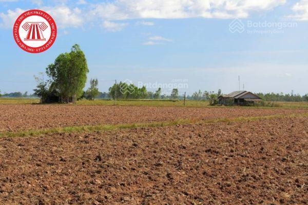 Bán 10 hecta gần đường 711 thích hợp làm trang trại công nghệ cao đường bao quanh đất
