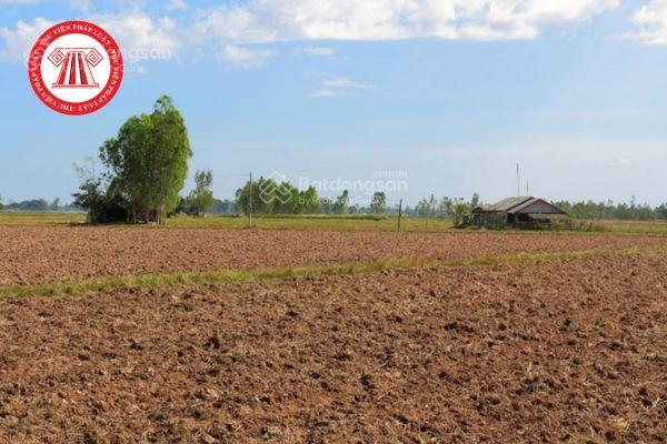 Bán 10 hecta gần đường 711 thích hợp làm trang trại công nghệ cao đường bao quanh đất