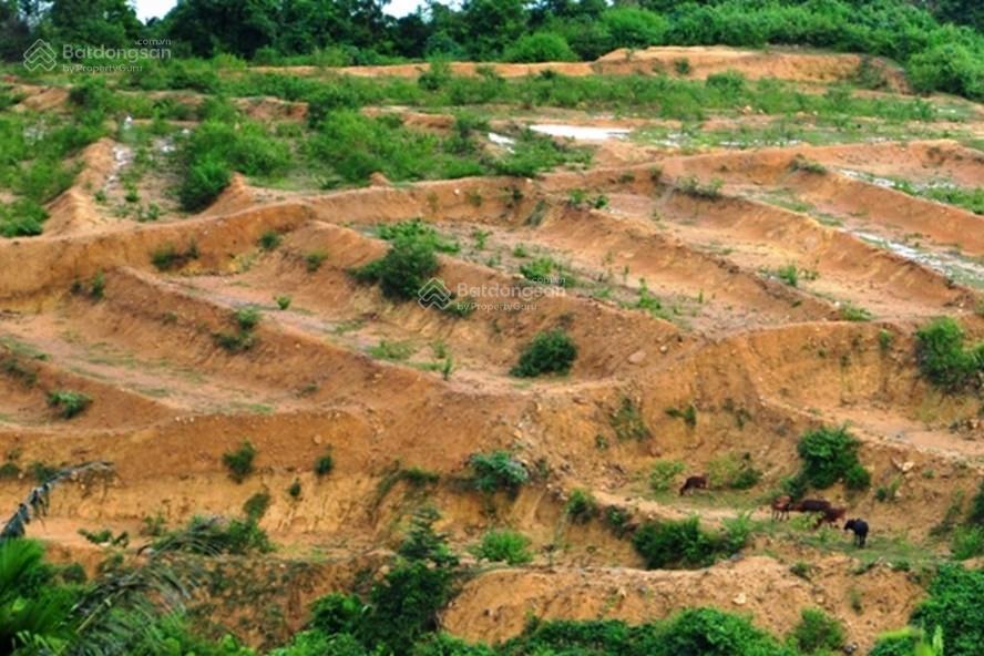 Bán 6 hecta gần đường 711 thích hợp làm trang trai, nông nghiệp công nghệ cao giá đầu tư