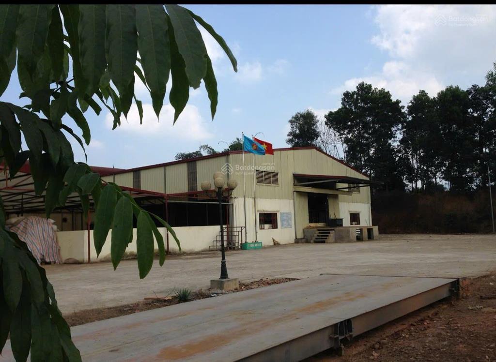 Cho thuê nhà xưởng kết cấu thép, sân rộng, tiện ích đẩy đủ thanh sơn phú thọ