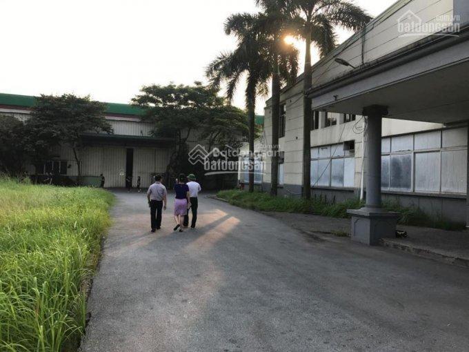 Cho thuê kho  xưởng. dt 150.000m2, có thể ngăn nhỏ dt từ 500m2 trở lên tại hải dương