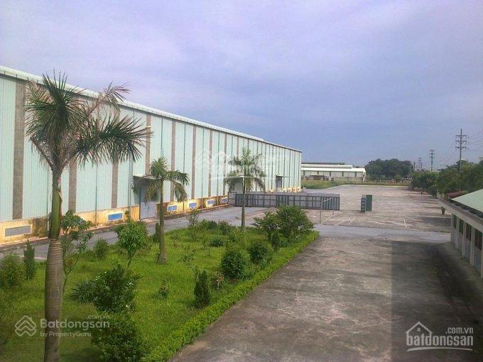 Cho thuê kho  xưởng. dt 150.000m2, có thể ngăn nhỏ dt từ 500m2 trở lên tại hải dương