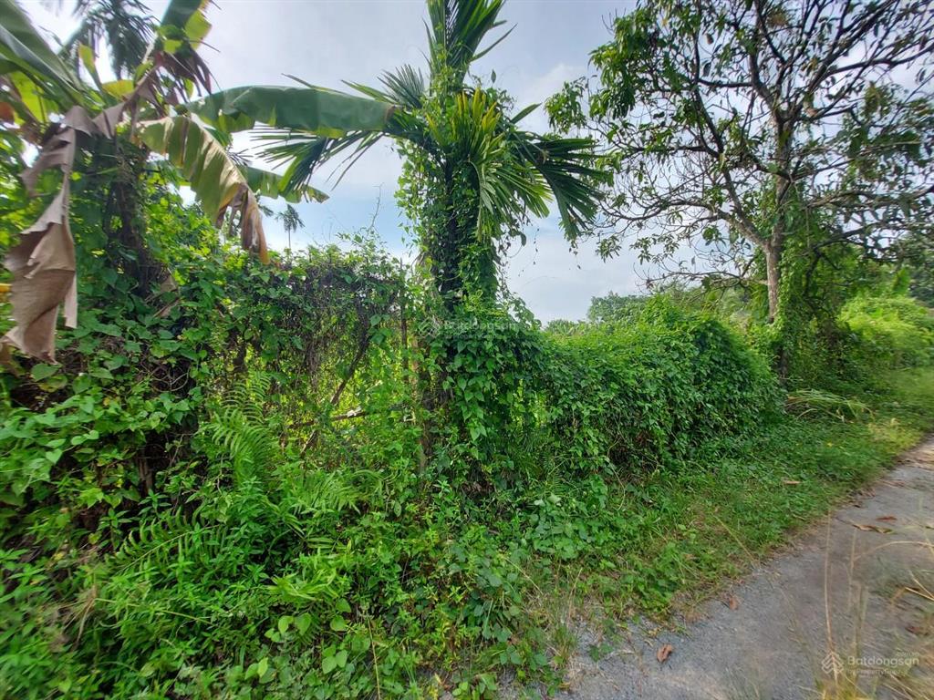 Đất an sơn, thuận an, bình dương, 1876m2 giá chỉ vài triệu 1m2