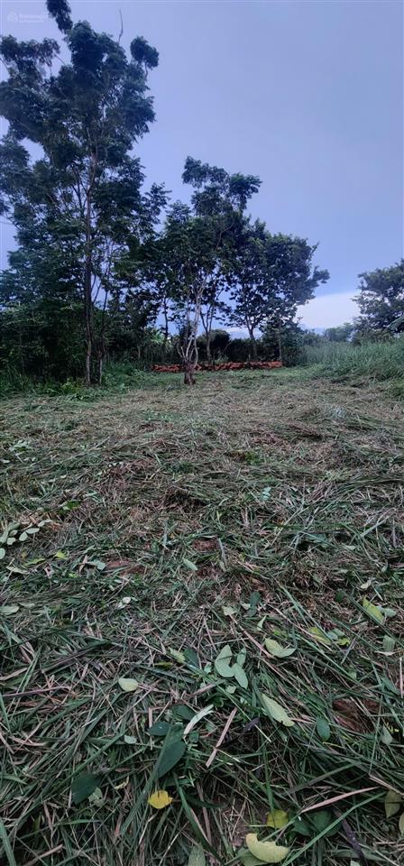 Đất phước tân, xuyên mộc, xã hồ tràm tp.hcm 162m2