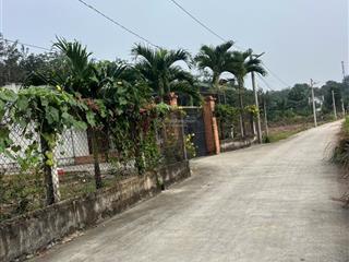 Đất đường chánh phú hoà 84 cách đường mptv 50m