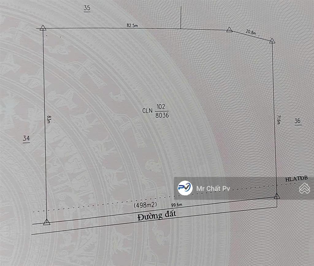 20 tỷ = 18.036m² (216m mặt tiền) giá tốt nhất khu vực này