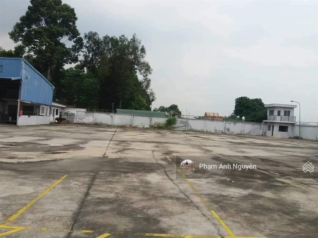 Bán đất mặt tiền nguyễn du, phường bình hòa, thành phố thuận an 5015m2 (thổ cư 100%) = 150 tỷ