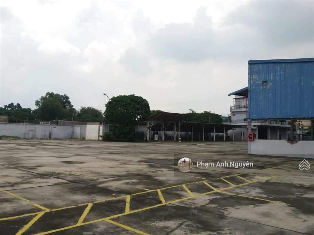Bán đất mặt tiền nguyễn du, phường bình hòa, thành phố thuận an 5015m2 (thổ cư 100%) = 150 tỷ