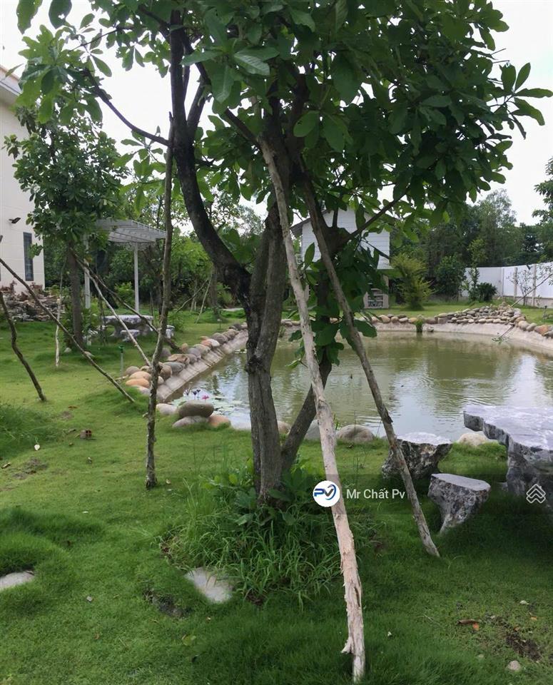 Bán biệt thự nhà vườn 6610m² ( ngang 60m ) mặt tiền võ văn bích, giá chỉ 58 tỷ