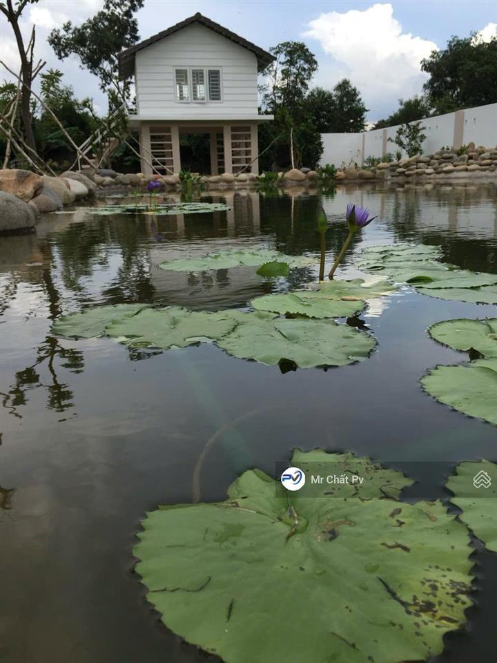 Bán biệt thự nhà vườn 6610m² ( ngang 60m ) mặt tiền võ văn bích, giá chỉ 58 tỷ